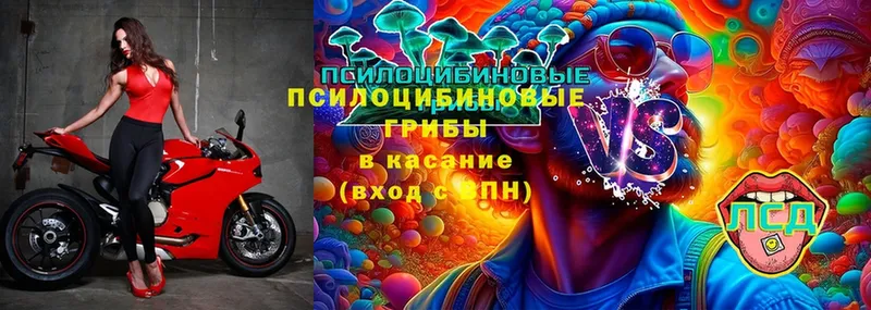 Псилоцибиновые грибы MAGIC MUSHROOMS  купить закладку  Лосино-Петровский 